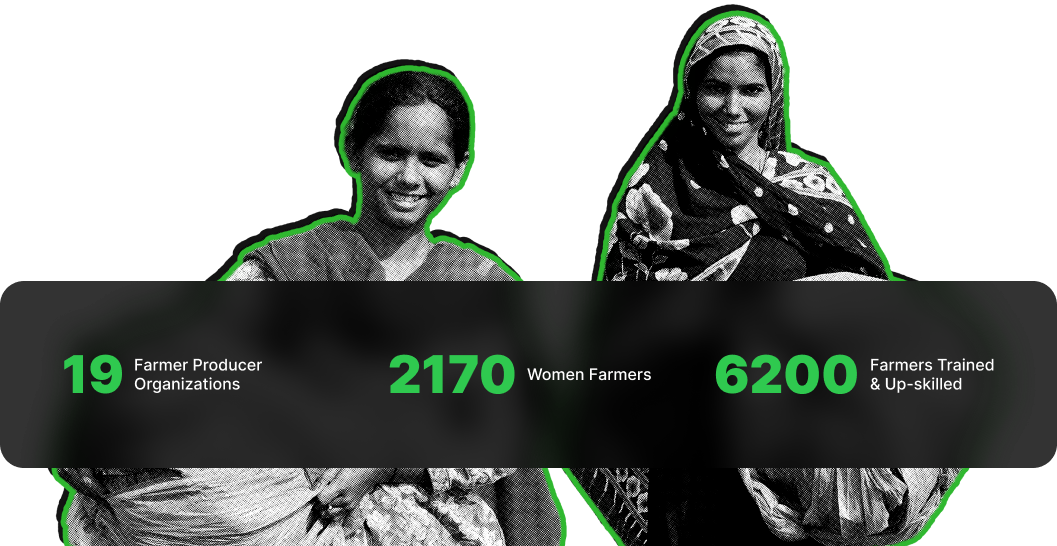 Our impact on rural communities